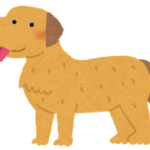 dog_golden_retriever